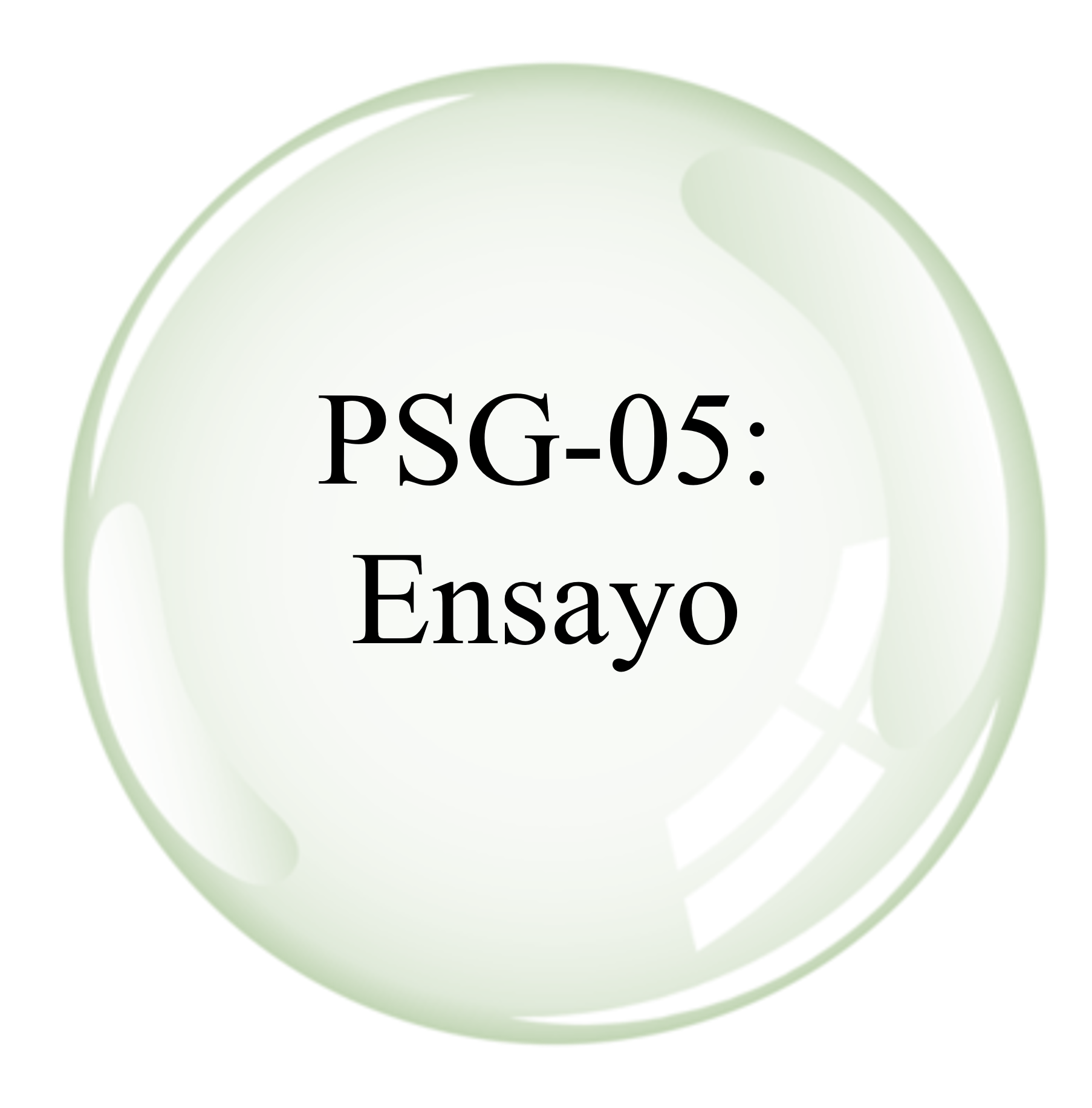 Imagen5